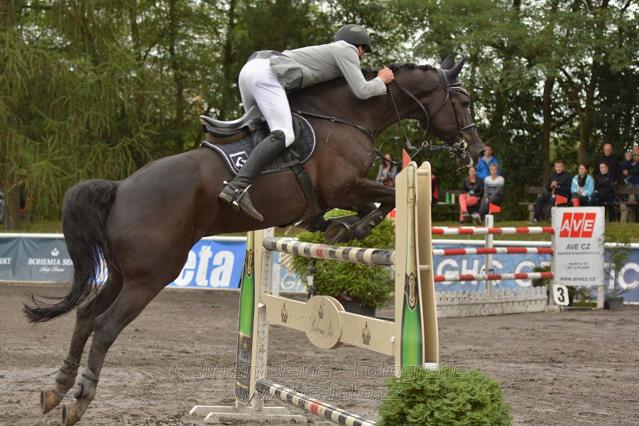 Velká cena města Plzně 2014 - Skoková soutěž st. „T*