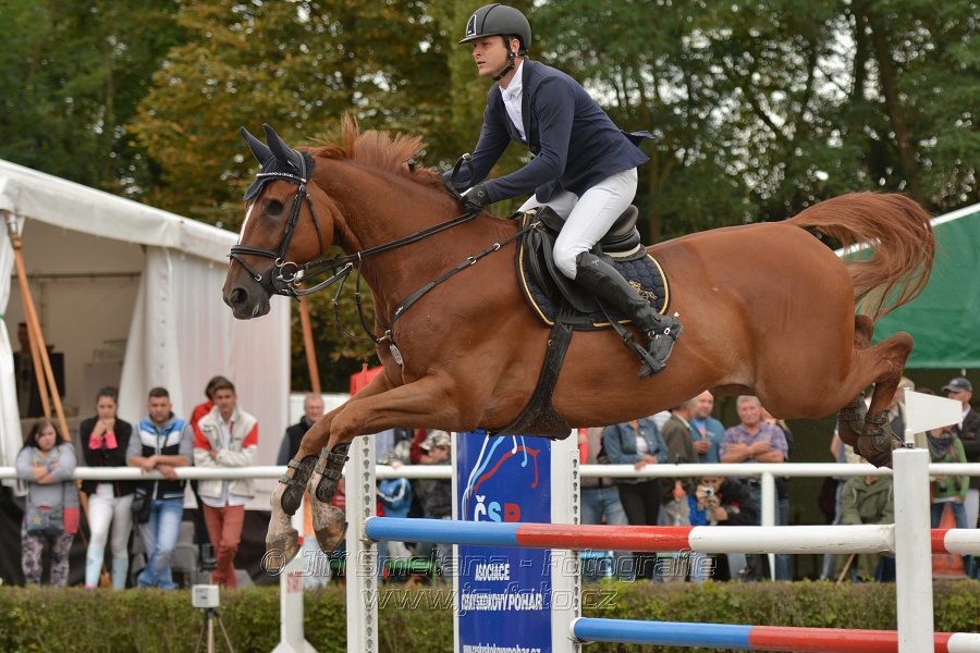 Velká cena města Plzně 2014 - Skoková soutěž st. „T*
