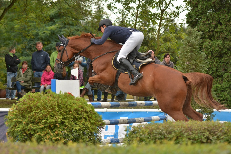 Velká cena města Plzně 2014 - Skoková soutěž st. „T*