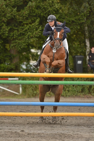 Velká cena města Plzně 2014 - Skoková soutěž st. „T*