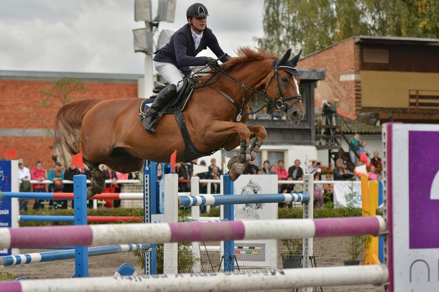 Velká cena města Plzně 2014 - Skoková soutěž st. „T*