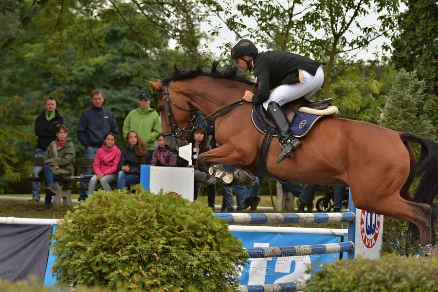 Velká cena města Plzně 2014 - Skoková soutěž st. „T*