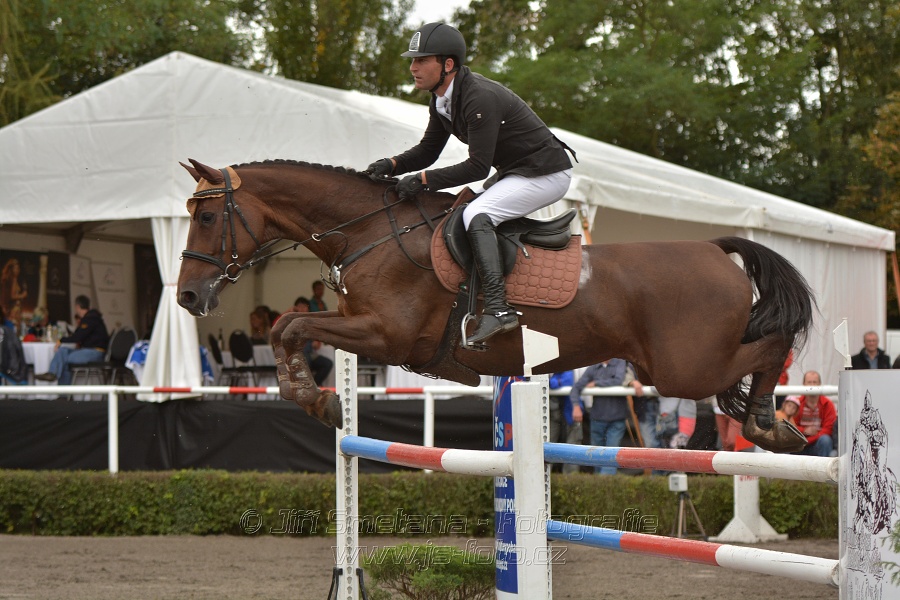Velká cena města Plzně 2014 - Skoková soutěž st. „T*