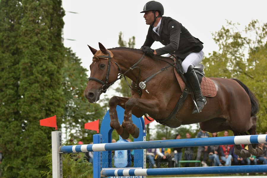 Velká cena města Plzně 2014 - Skoková soutěž st. „T*