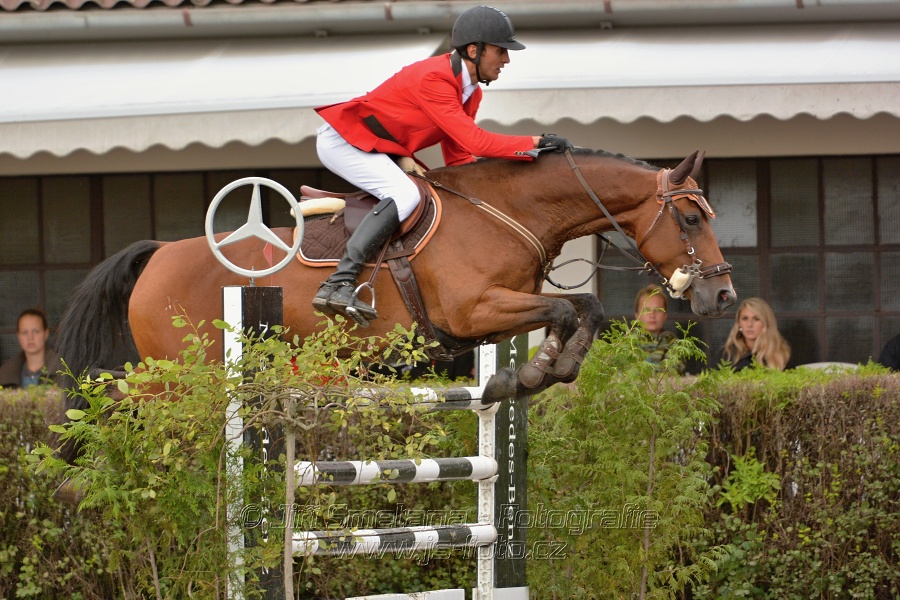 Velká cena města Plzně 2014 - Skoková soutěž st. „T*