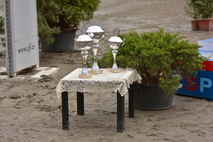 Velká cena města Plzně 2014 - Skoková soutěž st. „T*