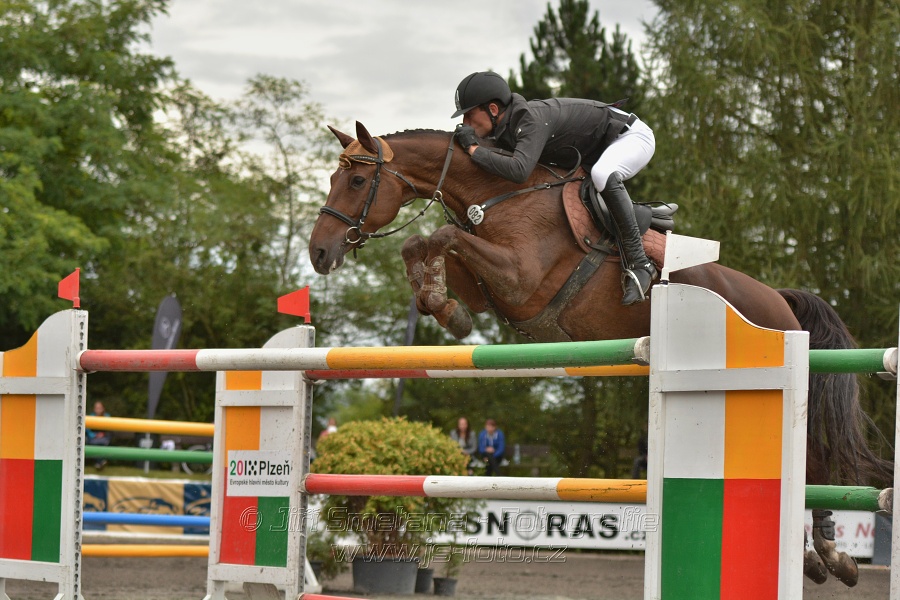 Velká cena města Plzně 2014 - Skoková soutěž st. „T*
