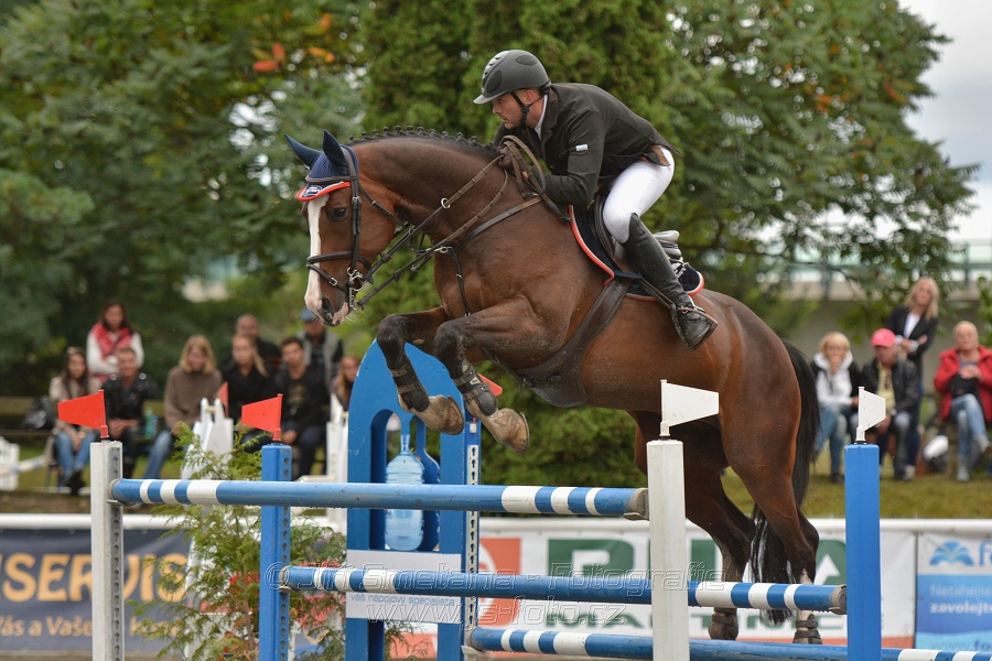 Velká cena města Plzně 2014 - Skoková soutěž st. „T*