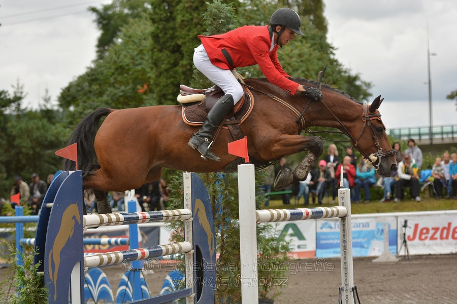 Velká cena města Plzně 2014 - Skoková soutěž st. „T*