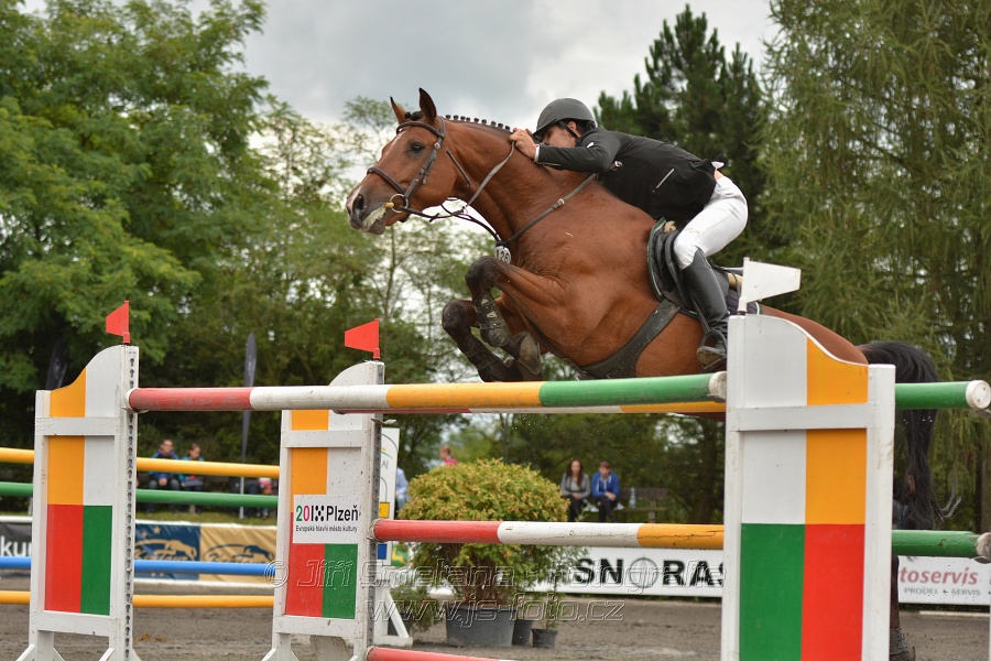Velká cena města Plzně 2014 - Skoková soutěž st. „T*