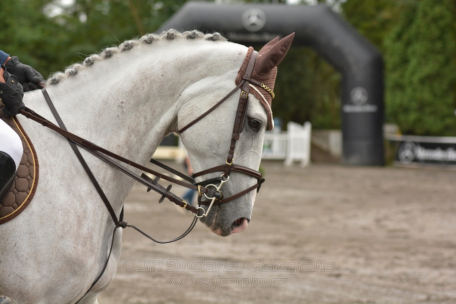 Velká cena města Plzně 2014 - Skoková soutěž st. „T*