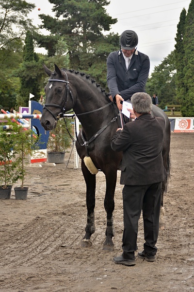 Velká cena města Plzně 2014 - Skoková soutěž st. „T*