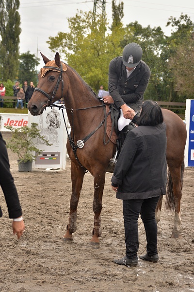 Velká cena města Plzně 2014 - Skoková soutěž st. „T*