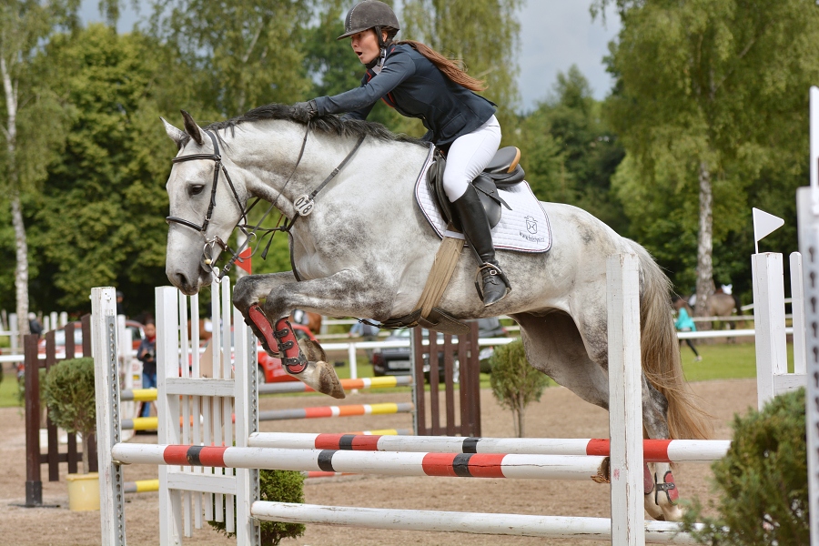 Skoková soutěž st. ''Z'', otevřená soutěž, limitovaný 