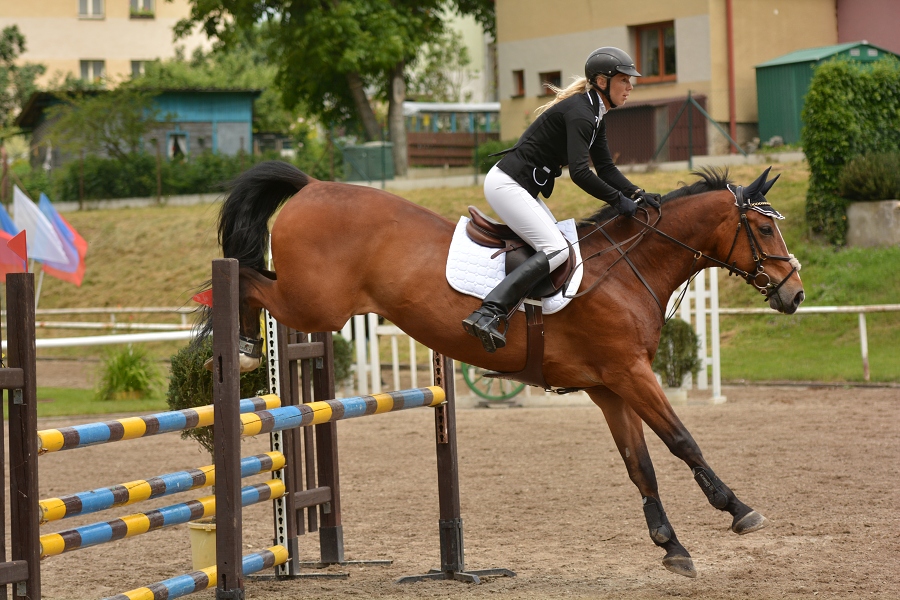 Skoková soutěž st. ''ZL'', otevřená soutěž na čas, be