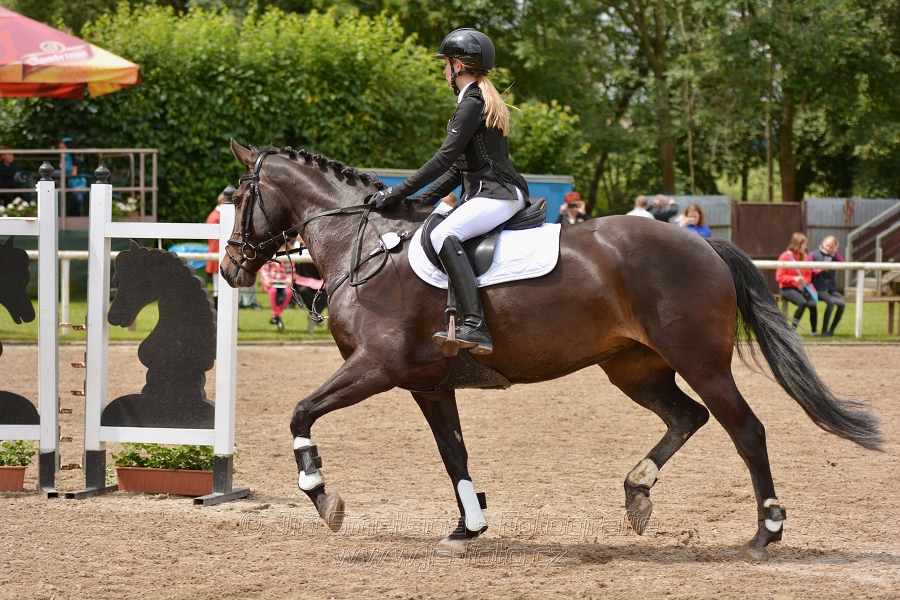 Skoková soutěž st. ''ZL'', otevřená soutěž na čas, be