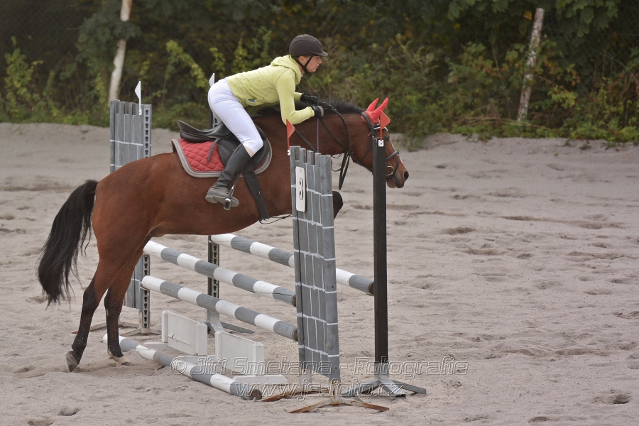 Skoková soutěž “Dvoufázové skákání 90/100cm“