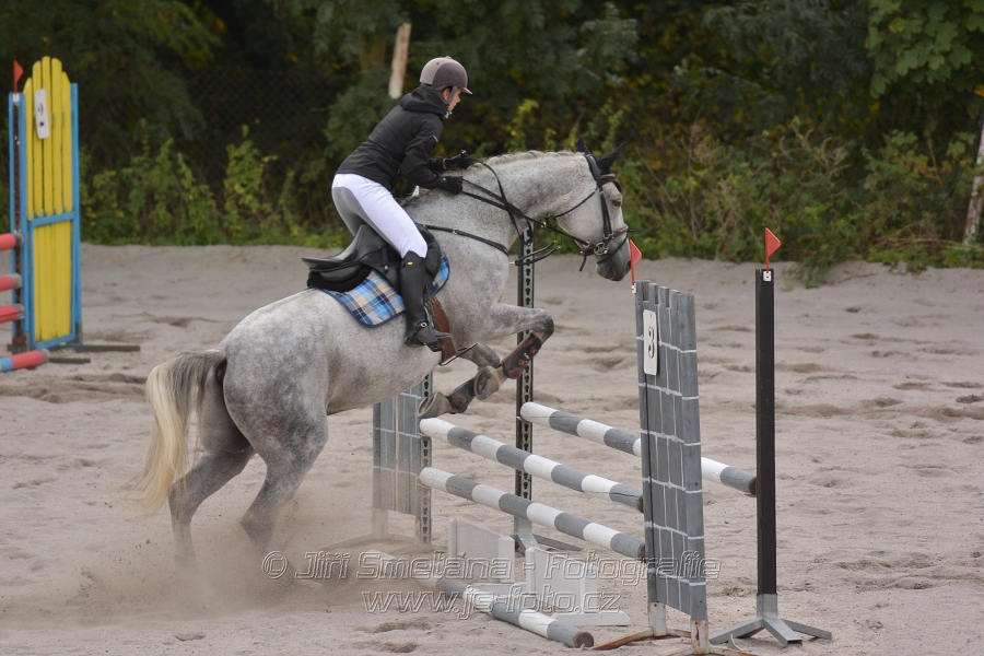 Skoková soutěž “Dvoufázové skákání 90/100cm“