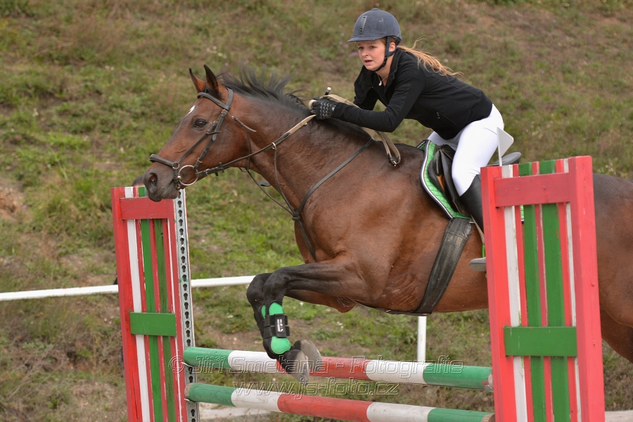 Skoková soutěž “Dvoufázové skákání 90/100cm“