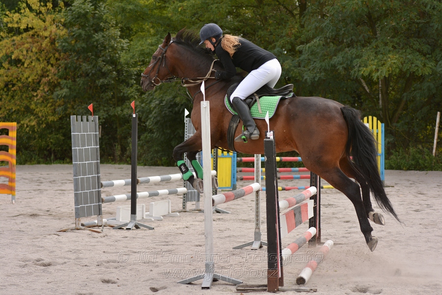 Skoková soutěž “Dvoufázové skákání 90/100cm“