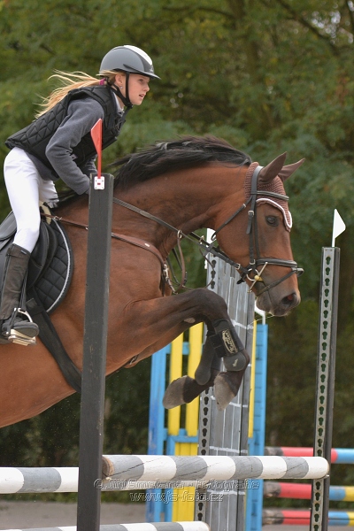 Skoková soutěž “Dvoufázové skákání 90/100cm“