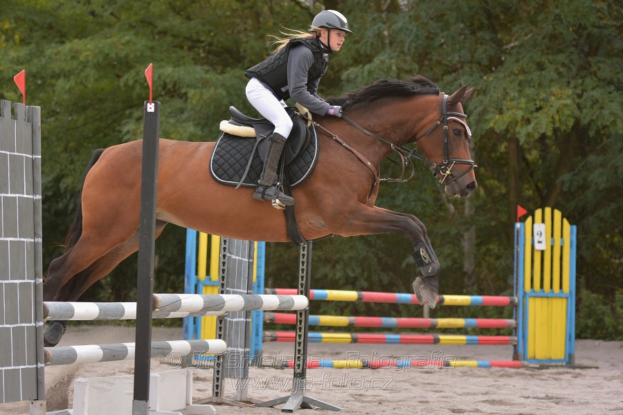 Skoková soutěž “Dvoufázové skákání 90/100cm“