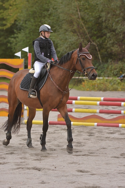 Skoková soutěž “Dvoufázové skákání 80/90cm“