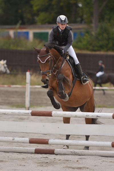 Skoková soutěž “Dvoufázové skákání 80/90cm“