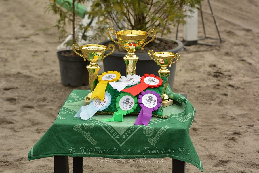 Skoková soutěž dvoufázové skákání 110/120 cm