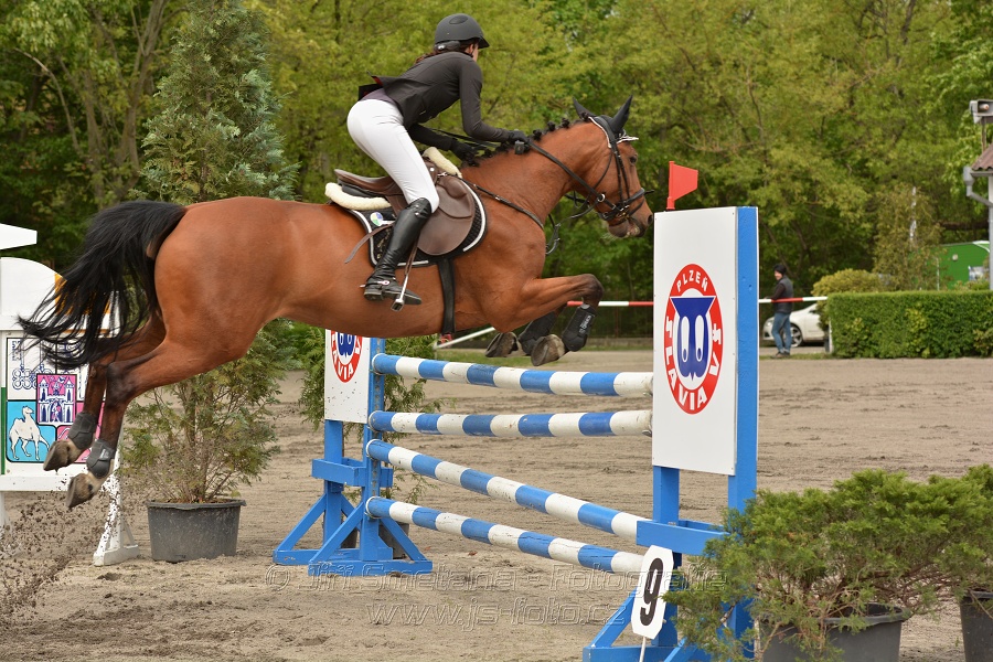 Skoková soutěž dvoufázové skákání 110/120 cm