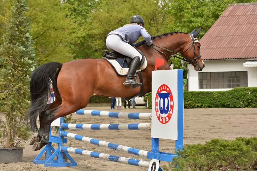 Skoková soutěž dvoufázové skákání 110/120 cm