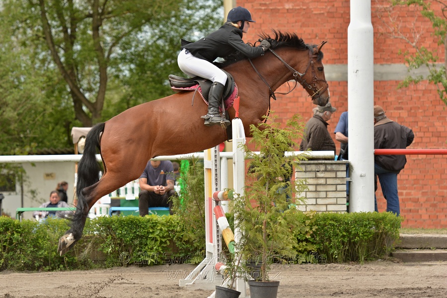 Skoková soutěž dvoufázové skákání 110/120 cm