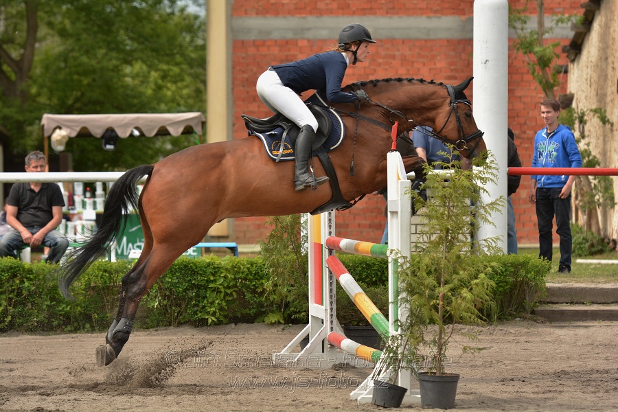 Skoková soutěž dvoufázové skákání 110/120 cm