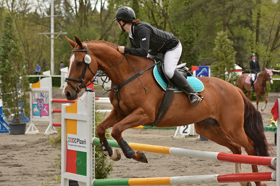 Skoková soutěž dvoufázové skákání 110/120 cm