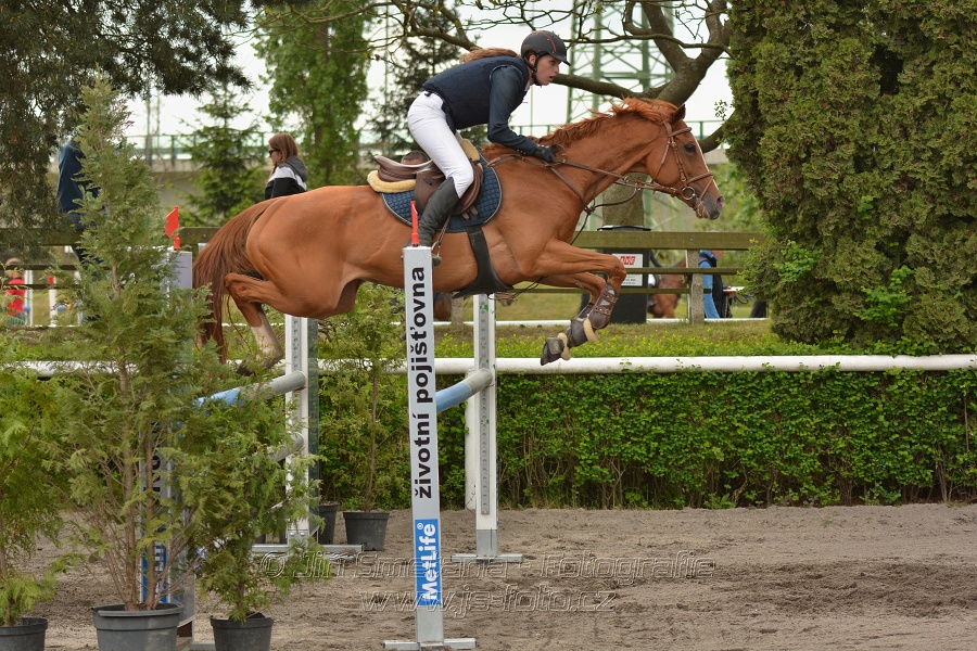 Skoková soutěž dvoufázové skákání 110/120 cm