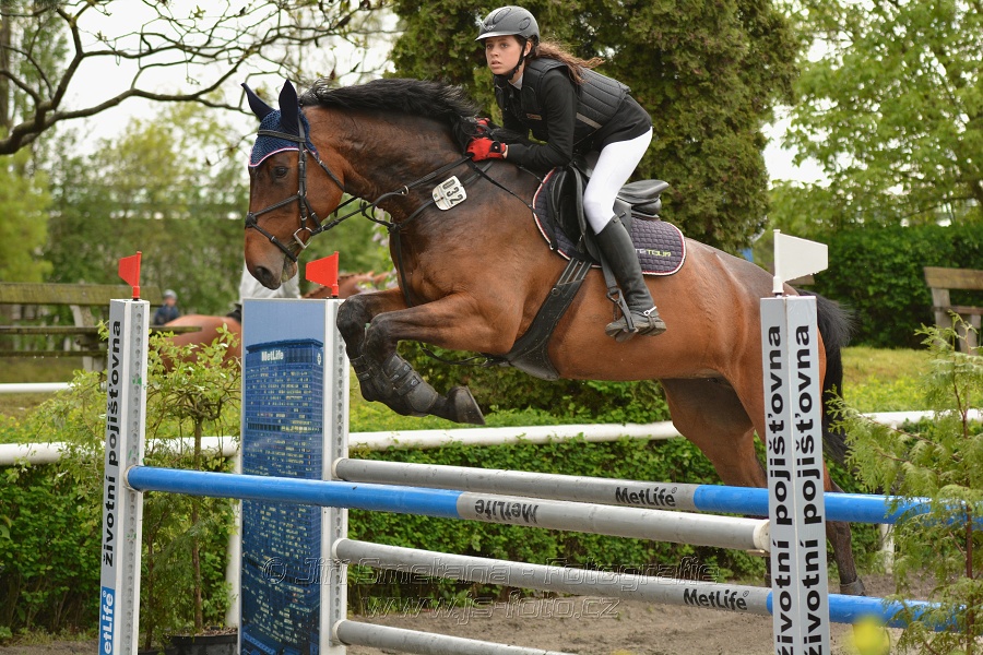 Skoková soutěž stupně 