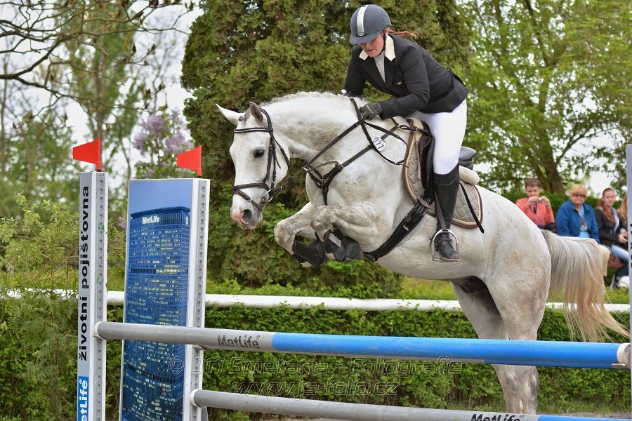 Skoková soutěž stupně 