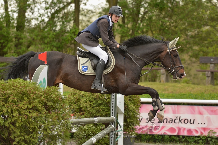 Skoková soutěž stupně 