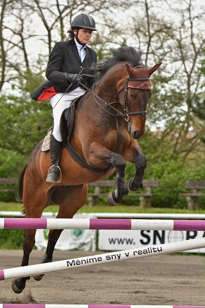 Skoková soutěž stupně 