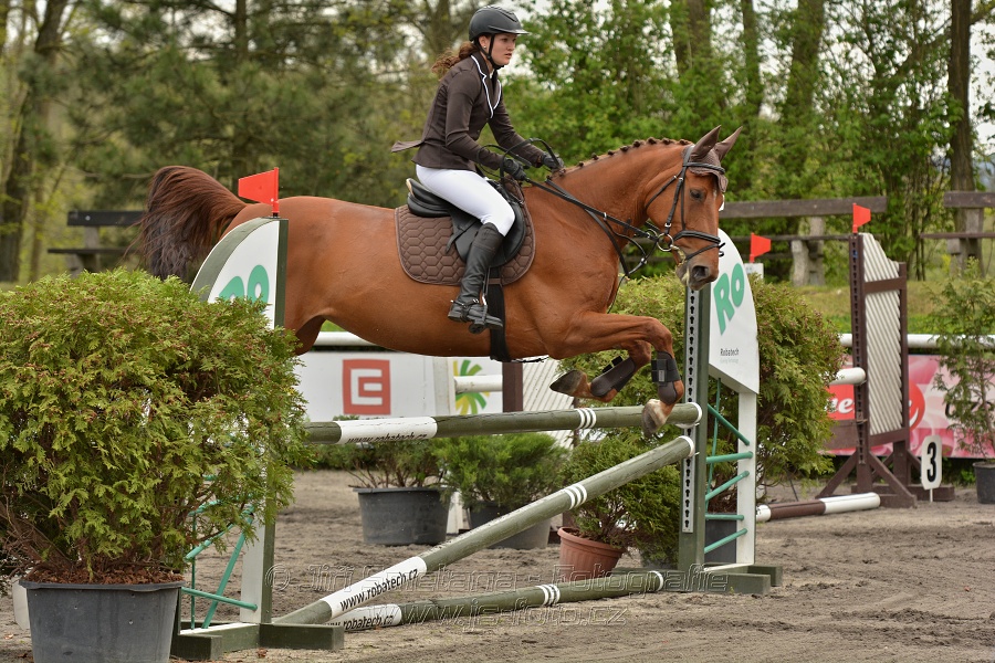 Skoková soutěž stupně 