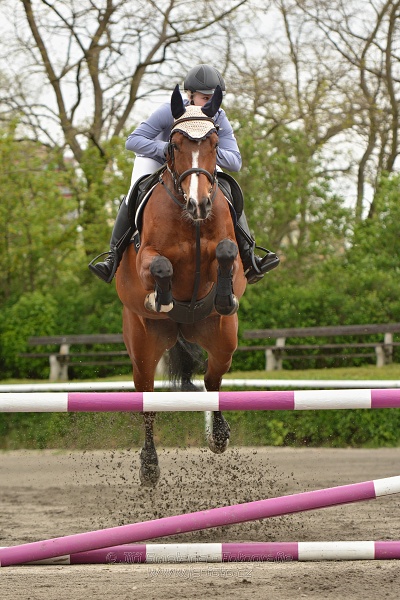 Skoková soutěž stupně 
