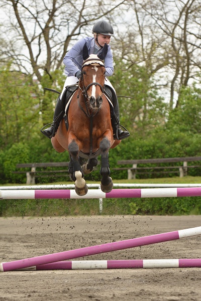 Skoková soutěž stupně 
