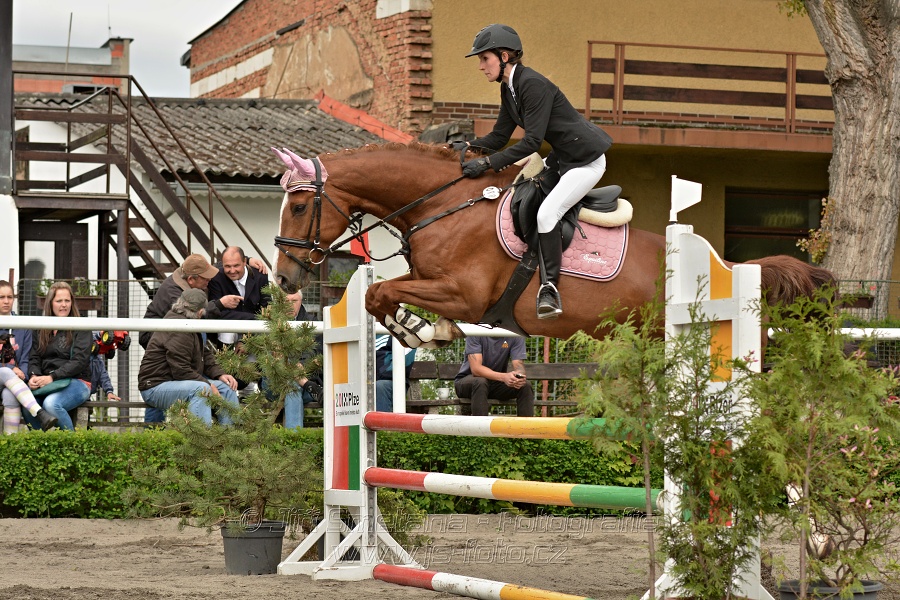 Skoková soutěž stupně 