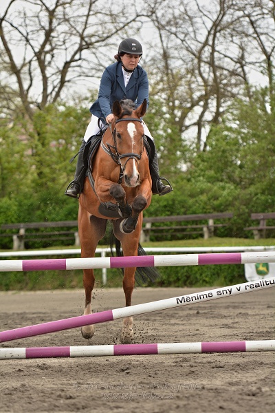 Skoková soutěž stupně 