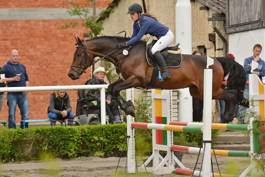 Skoková soutěž stupně 