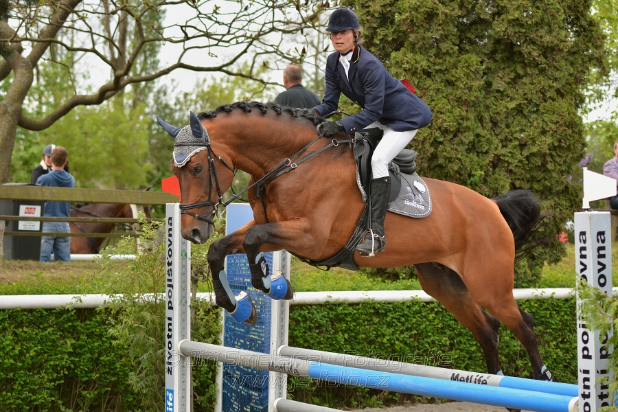 Skoková soutěž stupně 