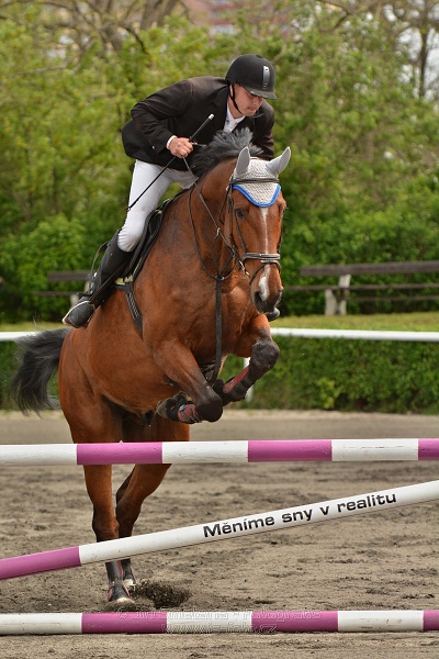 Skoková soutěž stupně 