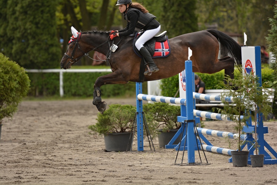 Skoková soutěž stupně 