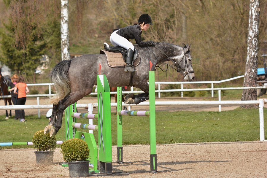 Skoková soutěž st. ZL