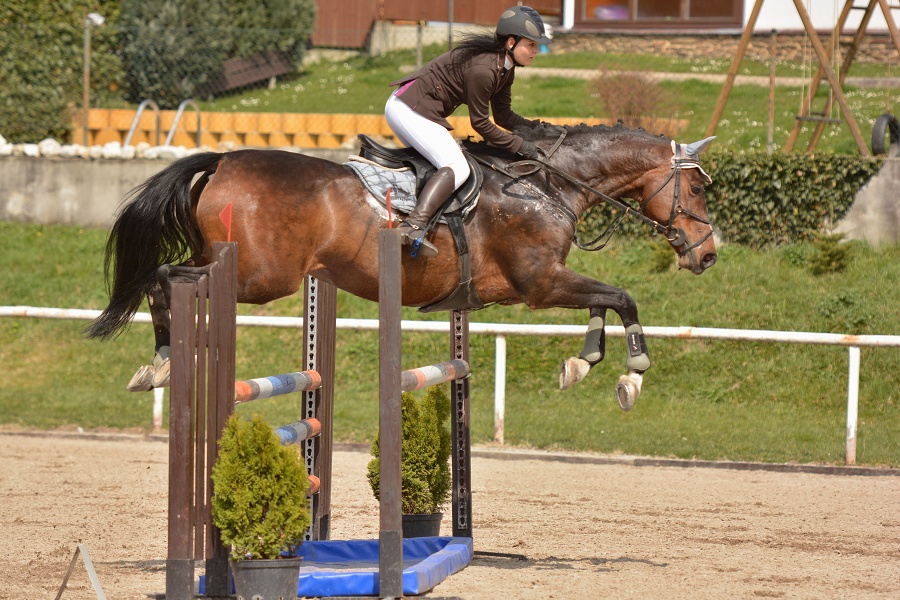 Skoková soutěž st. ZL